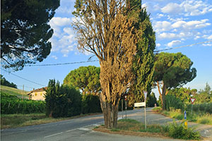 leggi articolo